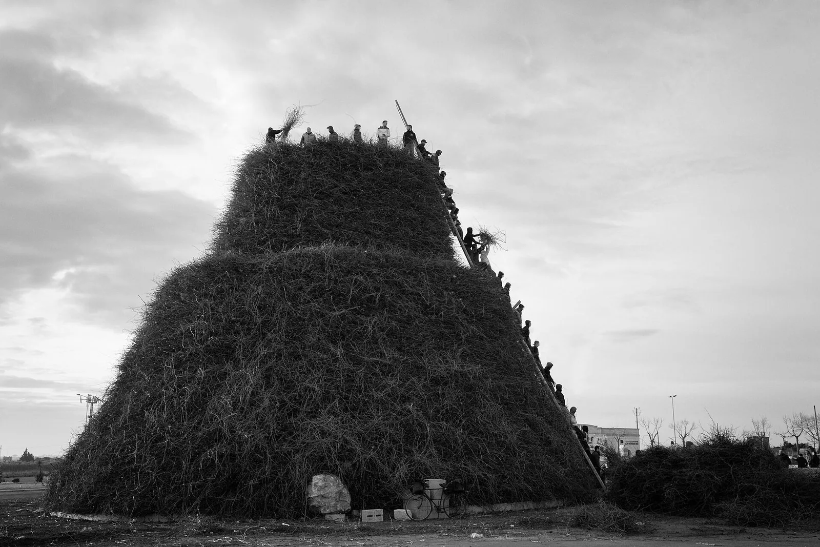 La grande catasta di tralci della Focara di Novoli prima dell’accensione